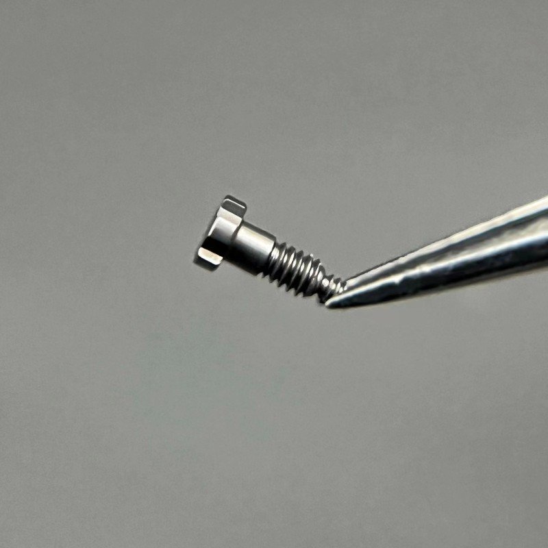 Grade 5 Titanium Screws For Ricard Mille RM Watch Case-3-800×800